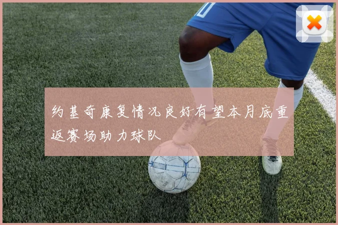 约基奇康复情况良好有望本月底重返赛场助力球队
